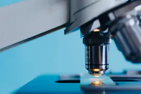 什么是Y染色体？关于Y染色体微缺失的那些事儿图片