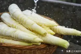 买春笋，不是越大越好，牢记5点再买，个个鲜嫩爽脆，好吃不涩口图片