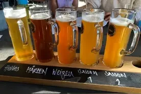 精酿啤酒的口感比普通啤酒要好吗？图片