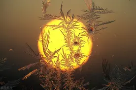 一些地方的奇闻异事与大家一起分享图片