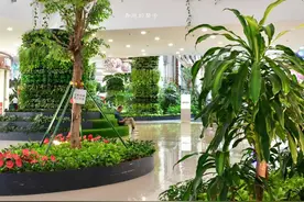 天哪！广州这个“音乐公园”竟在“空调房”，地铁公交直达+免费图片