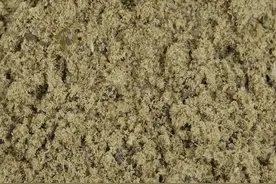 鱼类饲料营养(三)：鱼类饲料中的9种蛋白质原料图片