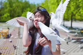 34张“时机完美”的抓拍照片，看后忍不住给摄影师们点个赞图片