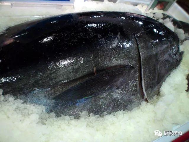 什么海鲜胶原蛋白最多 2025年海鲜含有胶原蛋白吗