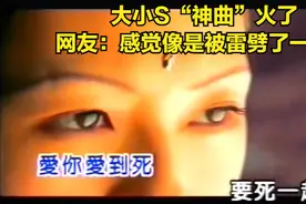 大小S的‘神曲’火了，网友：感觉像是被雷劈了一样！图片