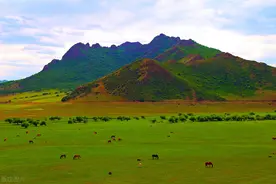 胃胀胃痛？中药治疗三个月帮你消除二十多年老胃病图片
