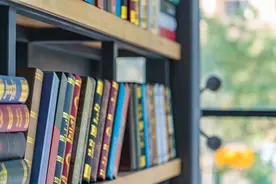 山东明确高等学校学费、住宿费标准图片