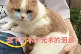 曝光那些让人哭笑不得的校园糗事，真实笑skr人了图片