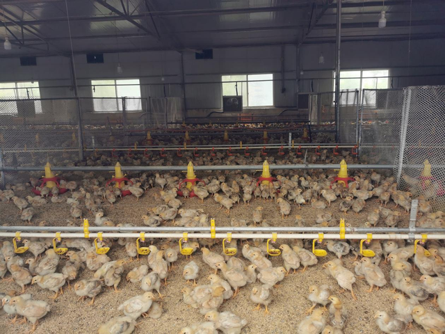 四川省民生研究会新媒体中心-官网