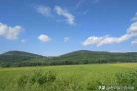 诗意中国之农业，水稻原产是中国：老尹在水稻田中分享水稻文化图片