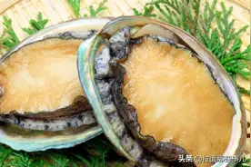 鲍鱼为啥论“头”卖，有钱人为啥都爱吃2头鲍，看完后就全懂了图片