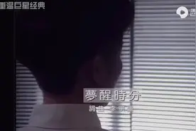 陈淑桦《梦醒时分》图片