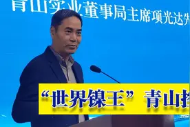 起底“世界镍王”，神秘的青山控股图片