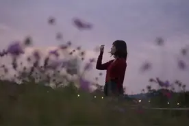 一个人稀缺的能力：深耕自己图片