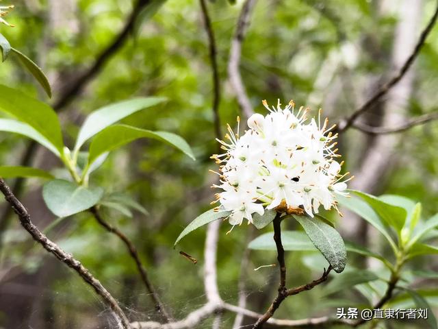 这大概是保定景区里最具挑战的一座大山了吧，1300级天梯太带劲了