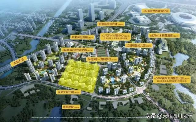 名校加持，东安湖再度“出圈”