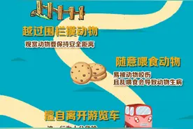 动物园游玩指南图片