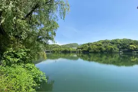 避开人从众，下次假期来杭州就住这里了图片