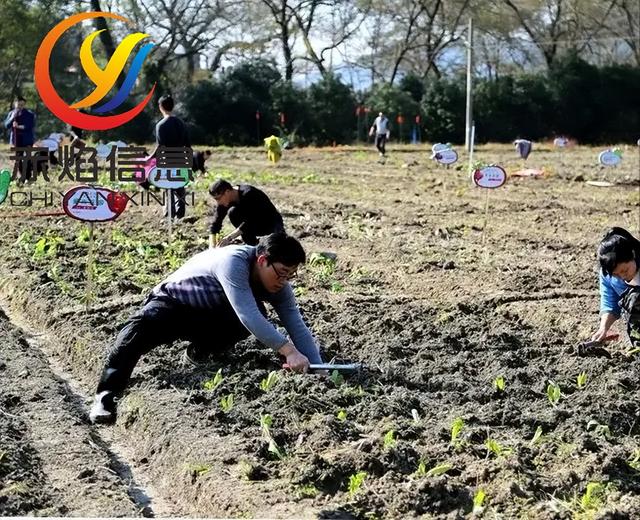 ����ũ��С������ũҵ������Ӫ���ƹ�����¸߶�