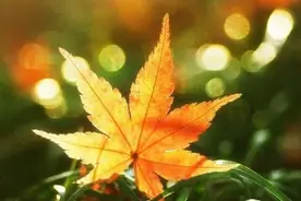 情到深处时，眼神不会骗人图片