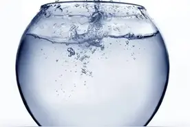 圆形金鱼缸会把金鱼逼疯，被欧洲禁售图片