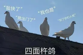 我怎么会鸽你呢 表情包系列图片