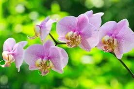 一个男人爱不爱你，他的手机会告诉你图片