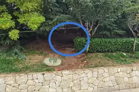 青岛6岁男童坠井不幸身亡，尸体发现在河污水处理厂进水隔栅内图片