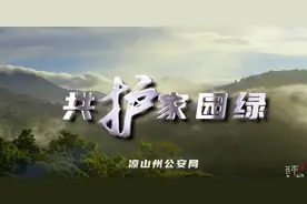 凉山公安护林防火宣传片——《守护》图片