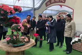 福建省人大常委会法制委一行来漳平调研图片