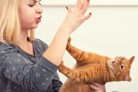 “养猫”和“不养猫”有多大区别？这对比也太真实了！图片