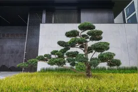 国庆已过，信阳楼市还会好吗？图片