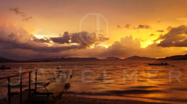 「干货」南洋金珠专题直播精彩集锦，专家教你怎么看南洋珍珠