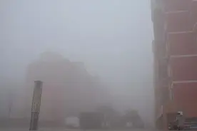 河北邯郸，曲周县，肥乡区，各村会谱图片