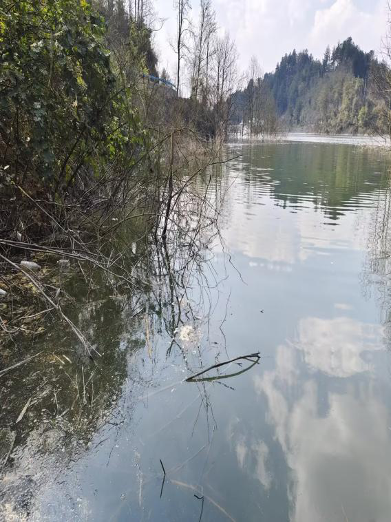 桃源水库的生态修复与文旅融合之路
