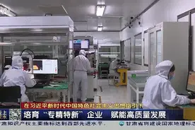 天水：培育“专精特新”企业 赋能高质量发展图片