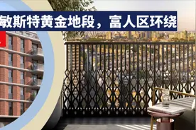 伦敦威斯敏斯特黄金地段，富人区环绕｜Ebury SW1图片
