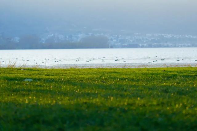大理这条骑行线，藏着一整个春天的浪漫