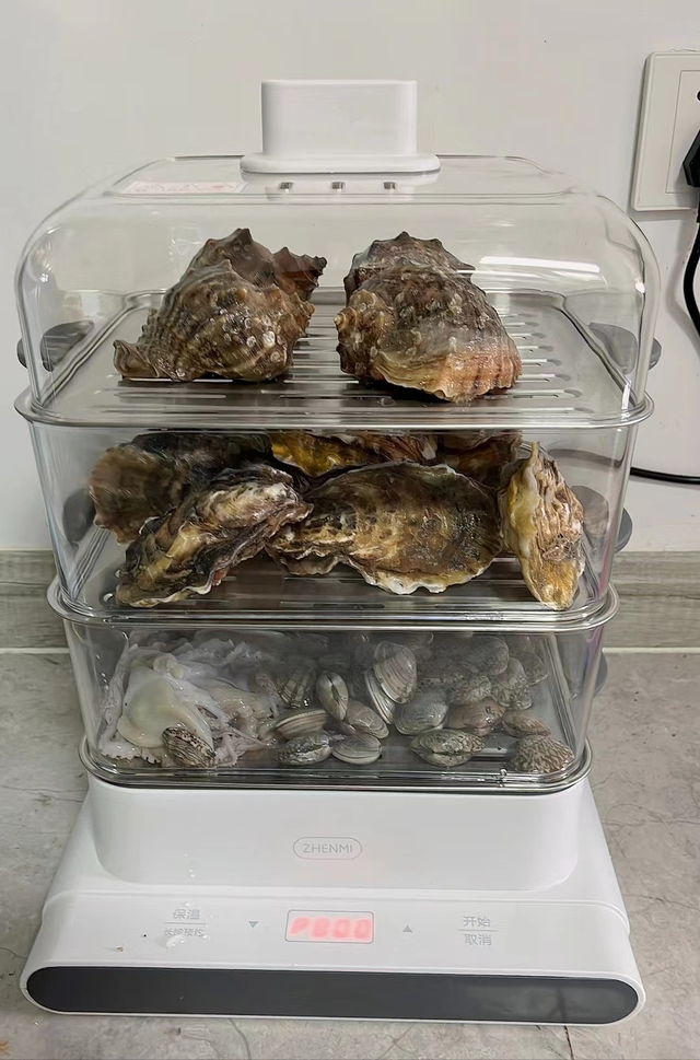 花胶可以用普通电炖锅 花胶可以直接用炖锅炖吗