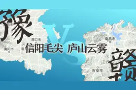 绿茶联赛：河南信阳毛尖与江西庐山云雾间的过招，毛尖谁称雄？图片