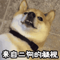 ԹӶԣʺҪû
