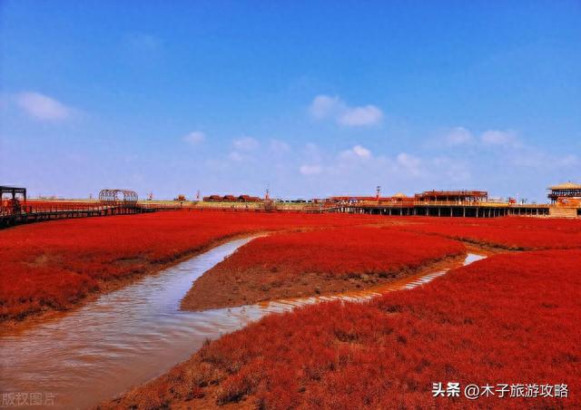 盘锦红海滩风景区游玩攻略(红海滩旅游攻略自助游)
