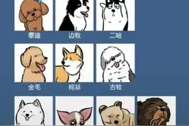这些狗不能当警犬的原因图片