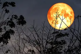 秋夜，月光凉凉，思念深深图片