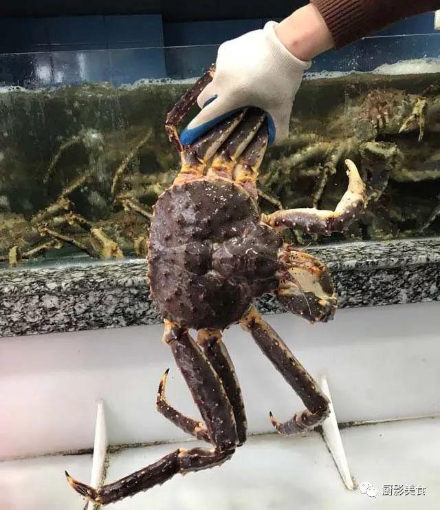 花胶选几级的 花胶等级顺序鱼胶排名大全