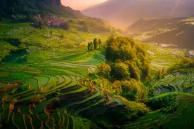 一物降一物6：拿捏加代，不只是权力和武力才能做到图片