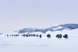 冯仑：扛住了，就有希望，就有未来图片