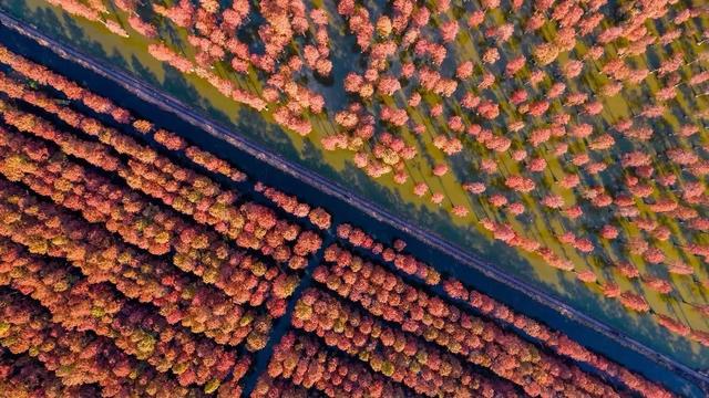 名家笔下关于“秋天”的12个精彩片段，你读过几个？