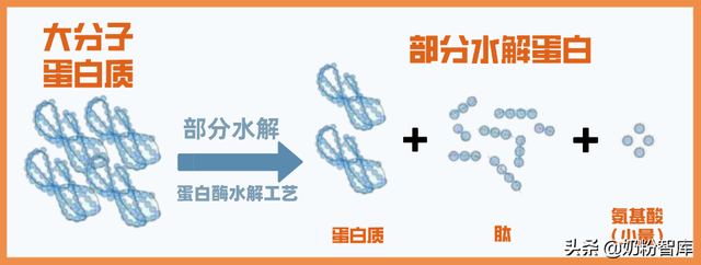 小分子奶粉成妈妈新宠，你朋友圈被安利了吗？