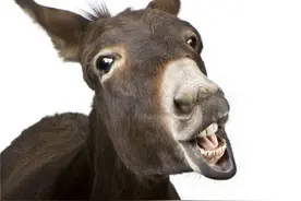 历史名人的那些“怪癖”，有些不可思议，有些令人啼笑皆非图片